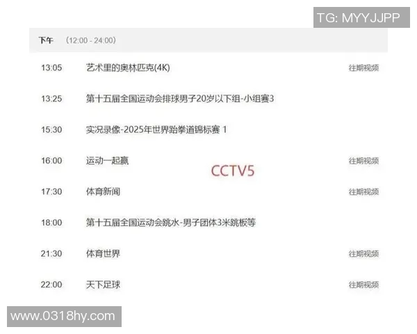 CCTV5天下足球：精彩赛事瞬间回顾与解析