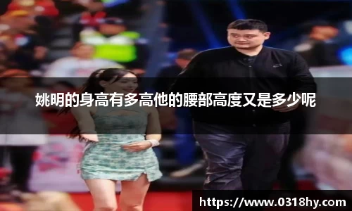 姚明的身高有多高他的腰部高度又是多少呢